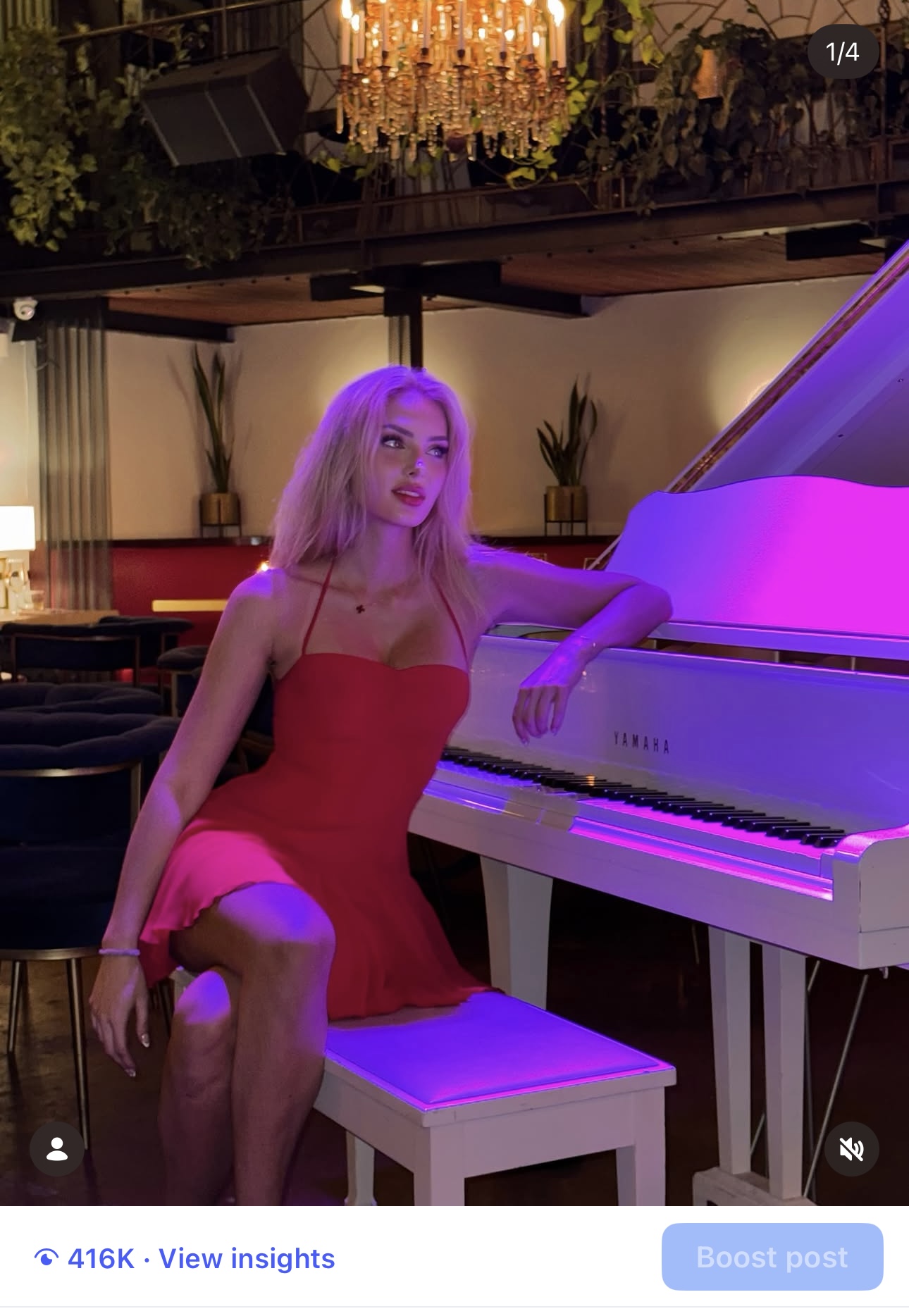 Saxon Sharbino × Whitefox
